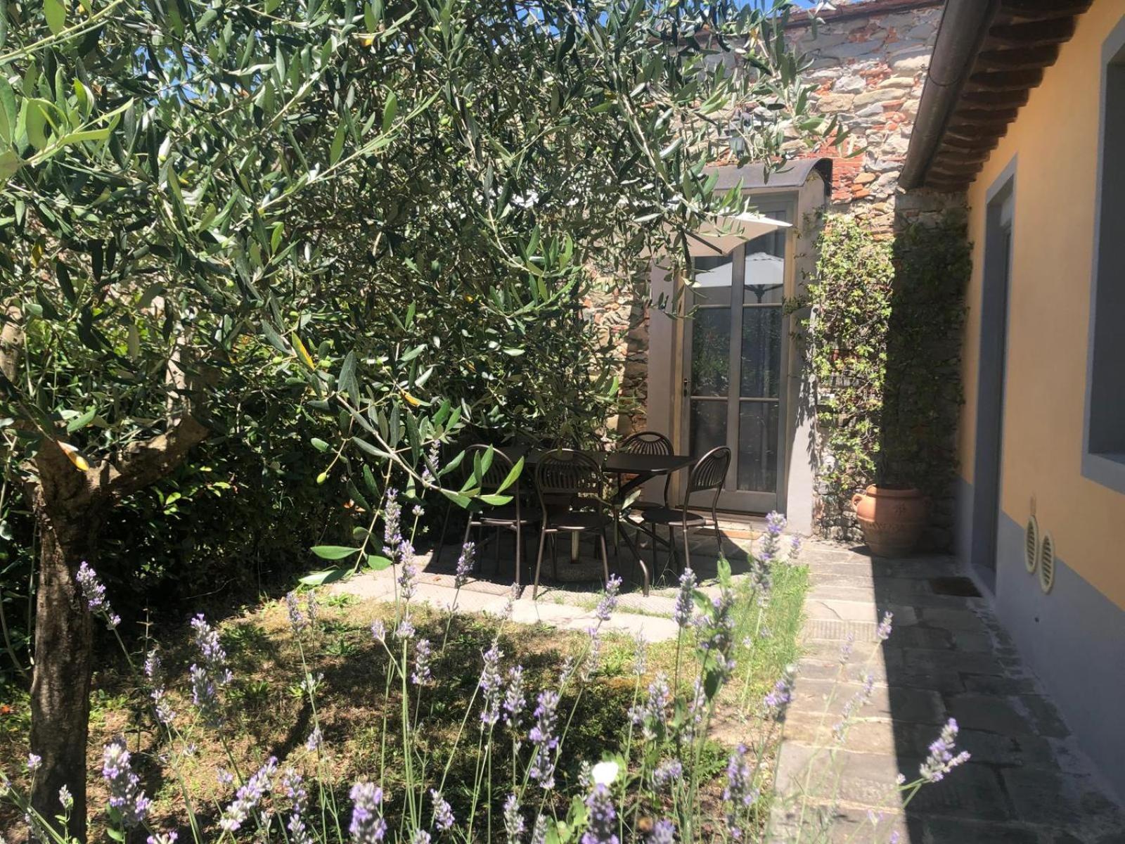 Tenuta Guinigi Antico Borgo Di Matraia - Exclusive Holidays Apartments & Pool Lukka Zewnętrze zdjęcie